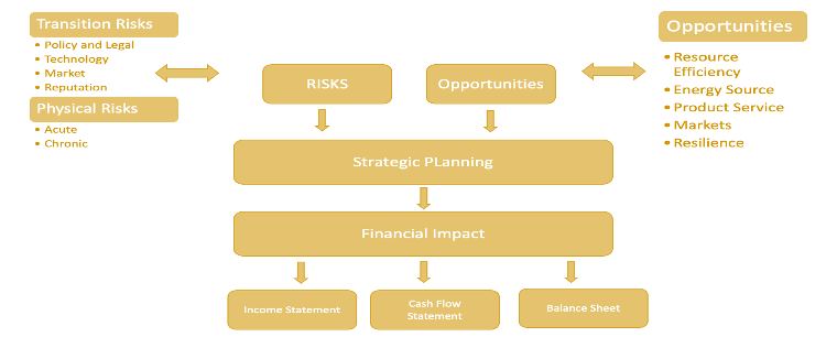How to Risk Manage Climate Risk- Looking for a Crystal ball
