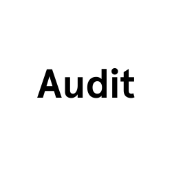 Interim Audit (1)